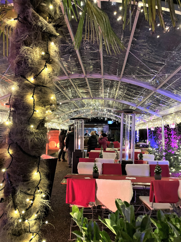 Inxmail-Winterfest-2023-Weihnachtsmarkt-unter-Sternenhimmel